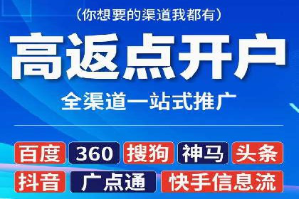 SEM广告案例：数据分析驱动营销决策